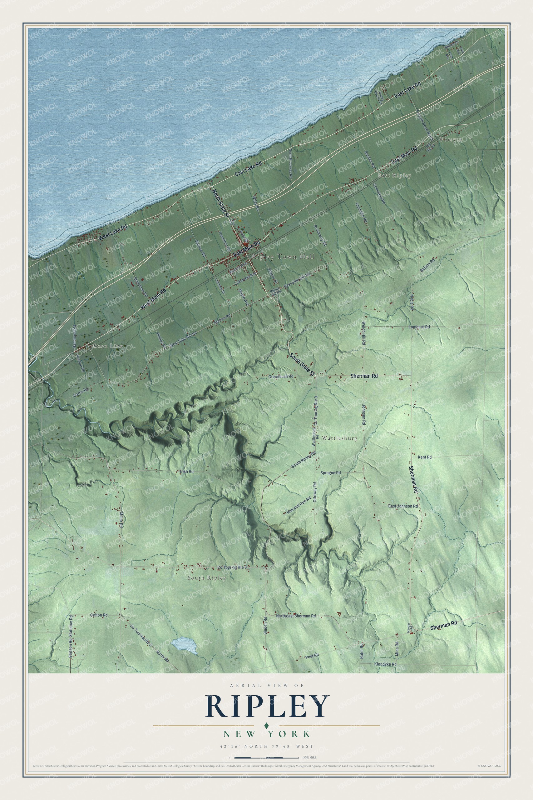 Detailed map of Ripley, New York, showing streets, buildings, and neighborhoods