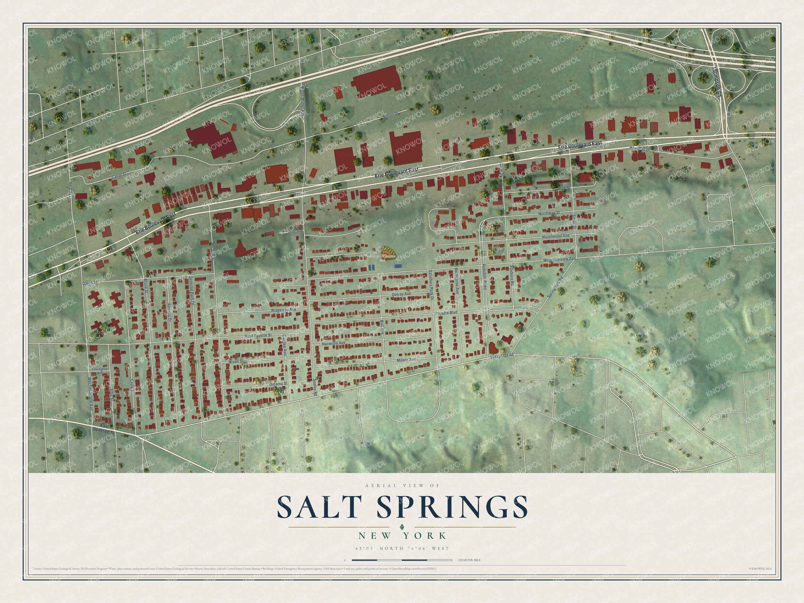 Watermarked full-map preview of Salt Springs, New York