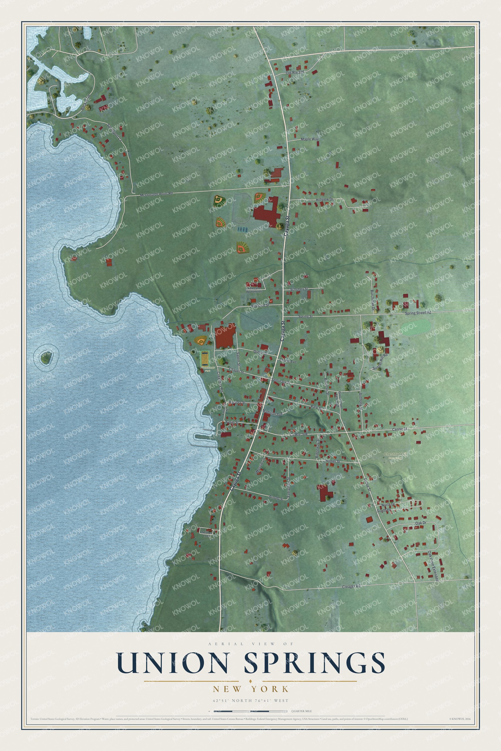 Full map of Union Springs, New York, with red buildings, printed street names and the land around them