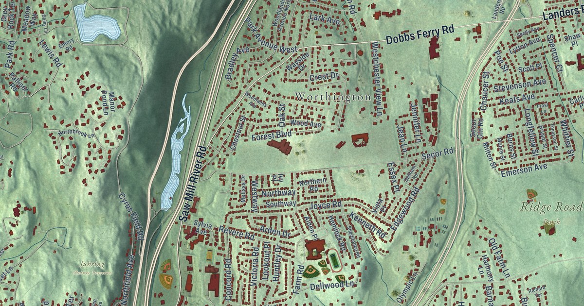 Close-up of streets and buildings in Woodlands, New York