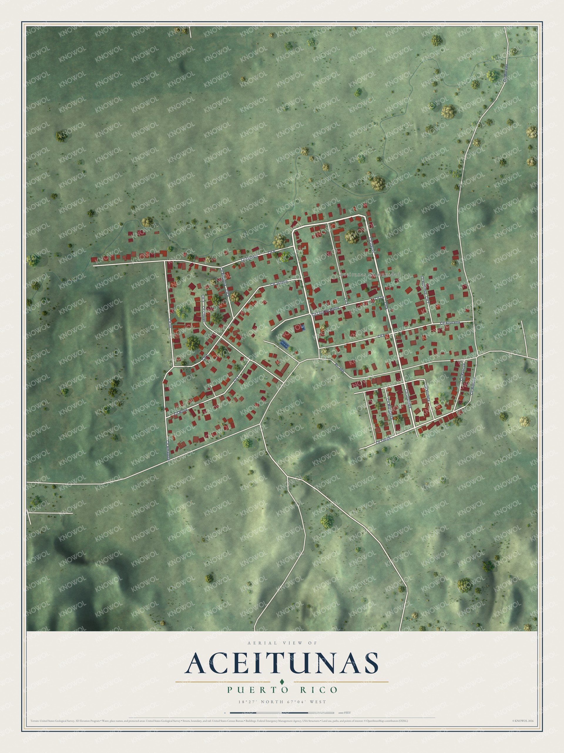 Full map of Aceitunas, Puerto Rico, with red buildings, printed street names and the land around them