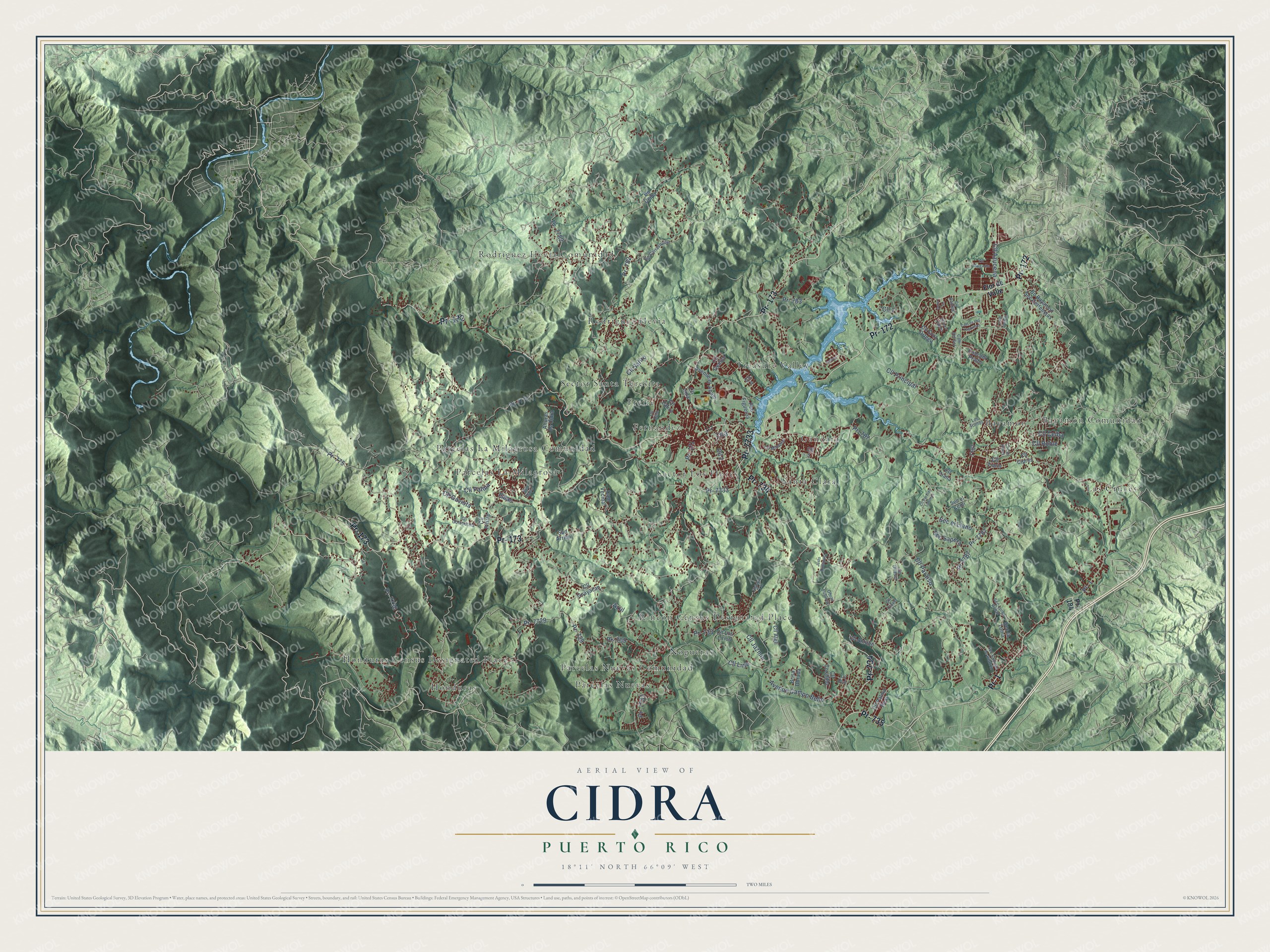 Full map of Cidra, Puerto Rico, with red buildings, printed street names and the land around them