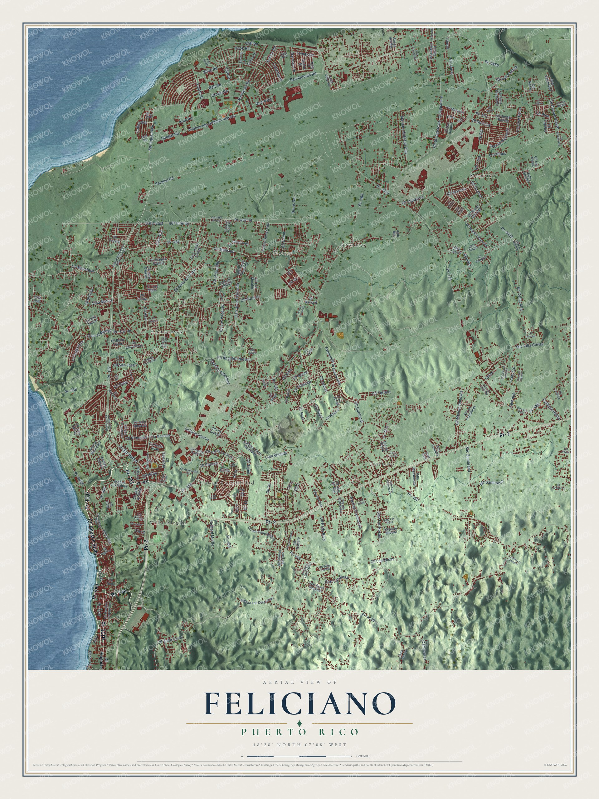 Watermarked full-map preview of Feliciano, Puerto Rico