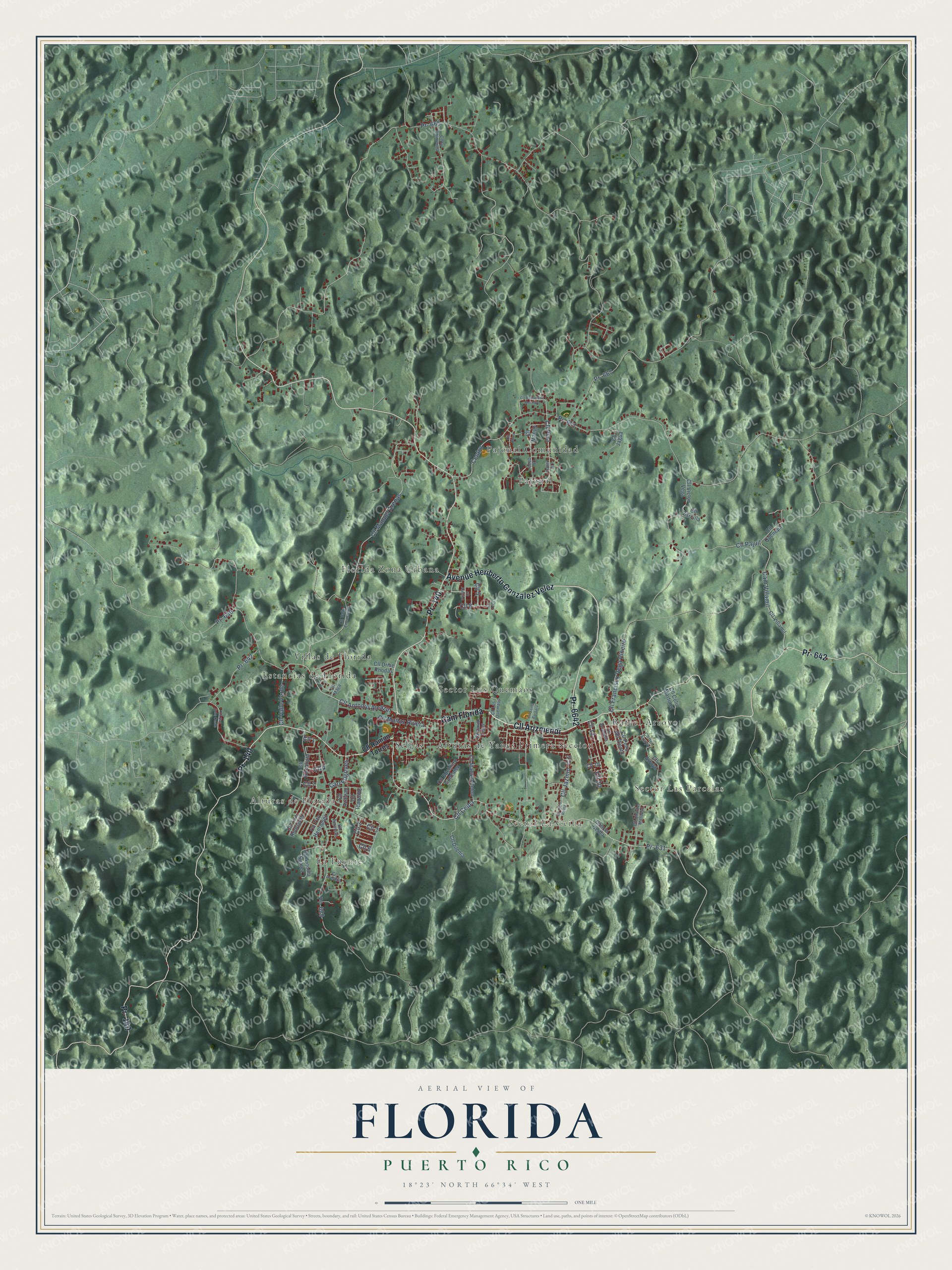 Watermarked full-map preview of Florida, Puerto Rico