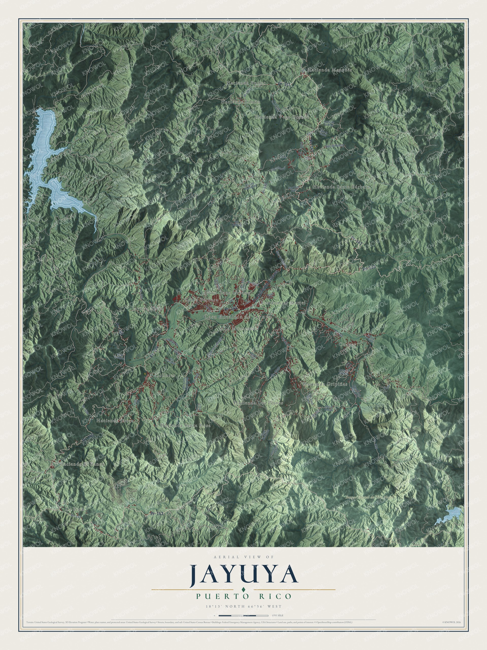 Full map of Jayuya, Puerto Rico, with red buildings, printed street names and the land around them