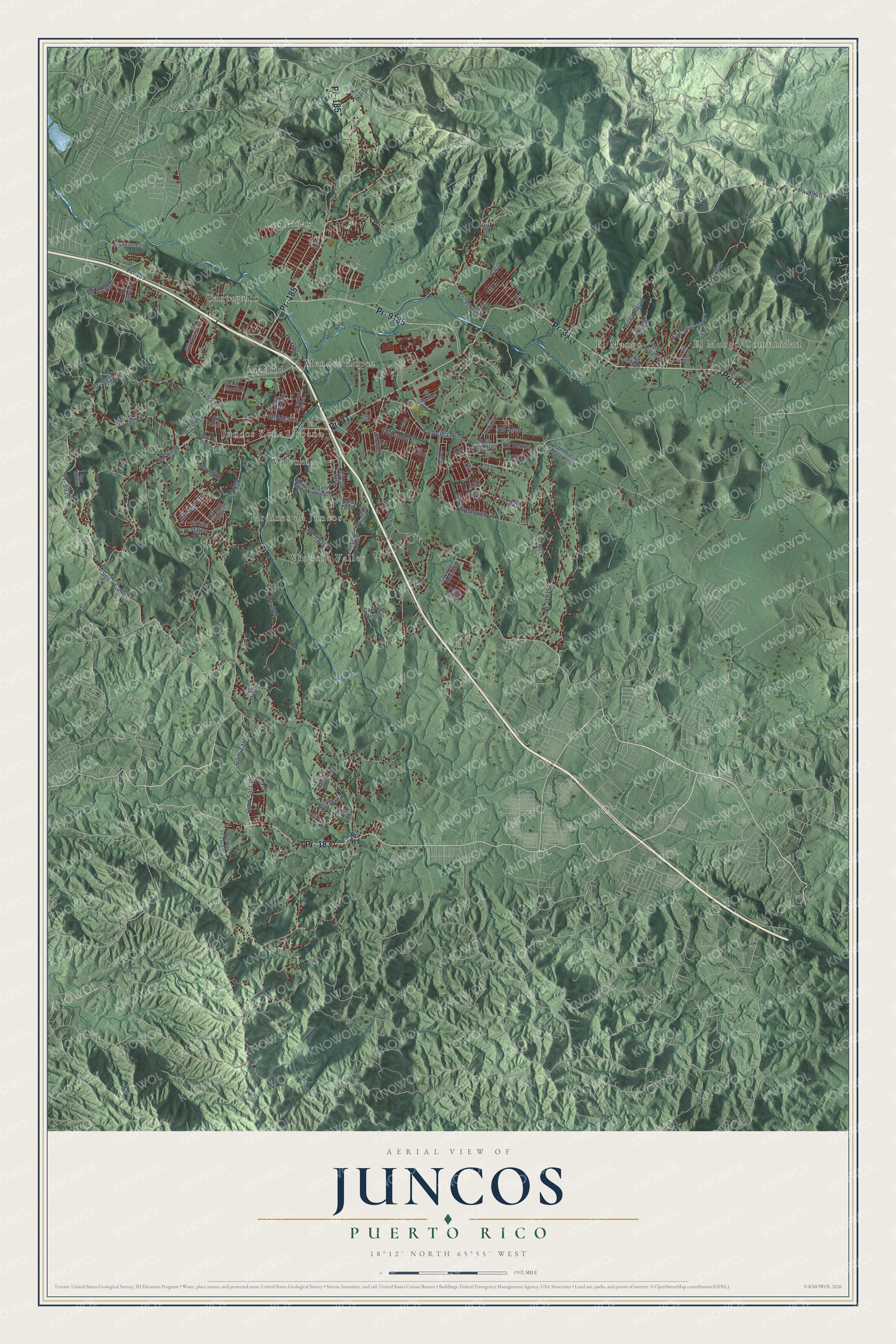 Full map of Juncos, Puerto Rico, with red buildings, printed street names and the land around them