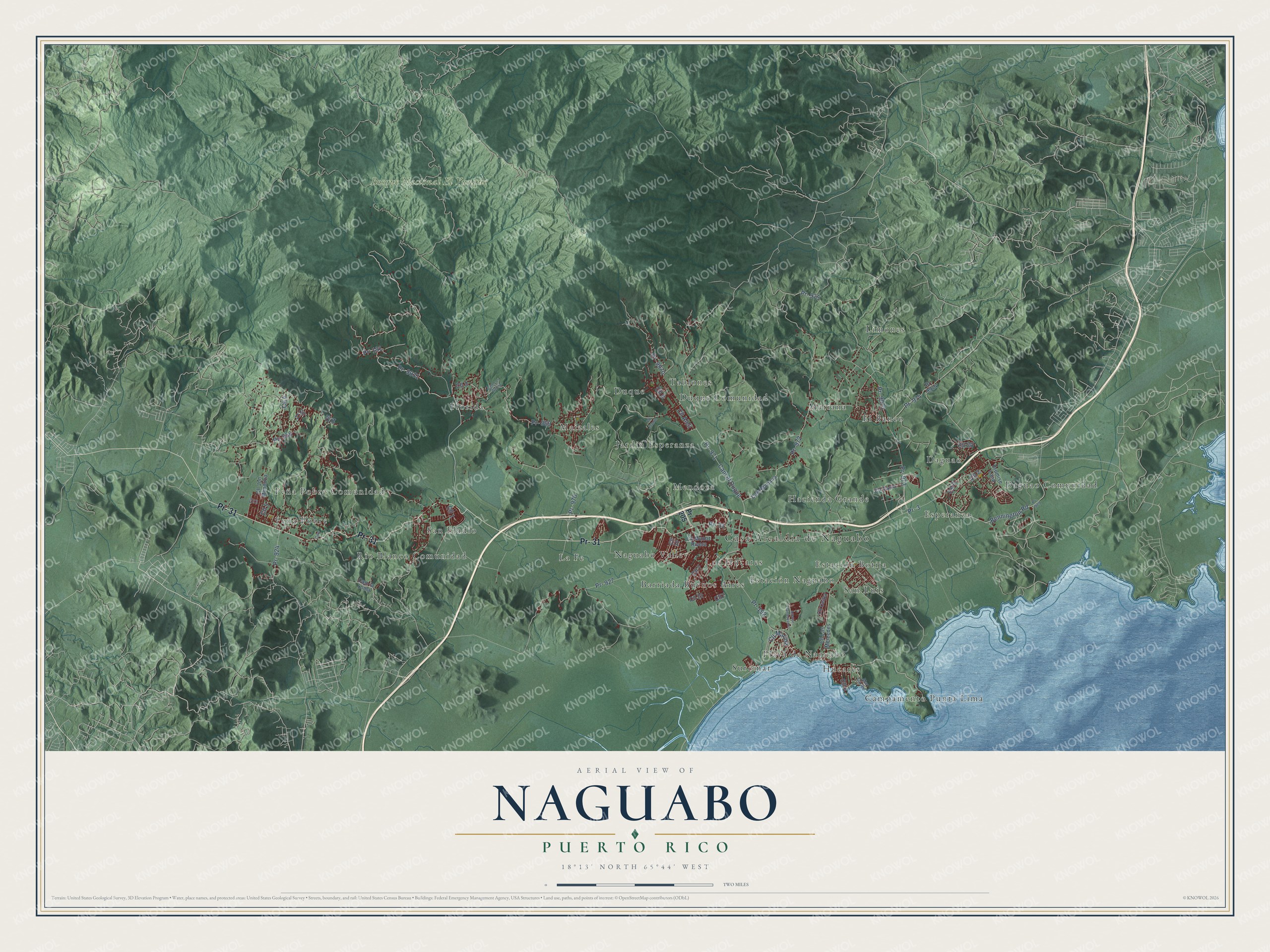 Watermarked full-map preview of Naguabo, Puerto Rico