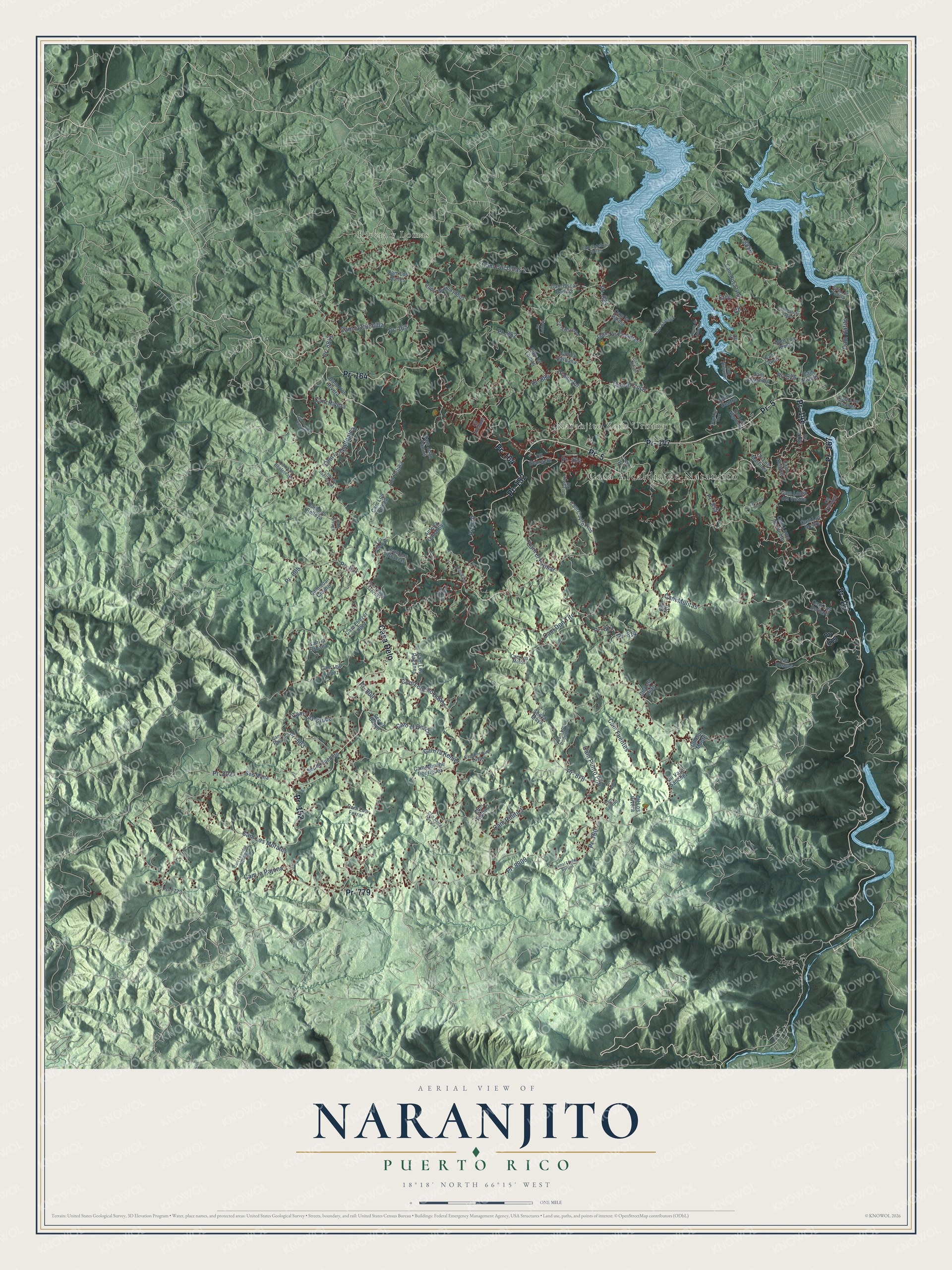 Full map of Naranjito, Puerto Rico, with red buildings, printed street names and the land around them