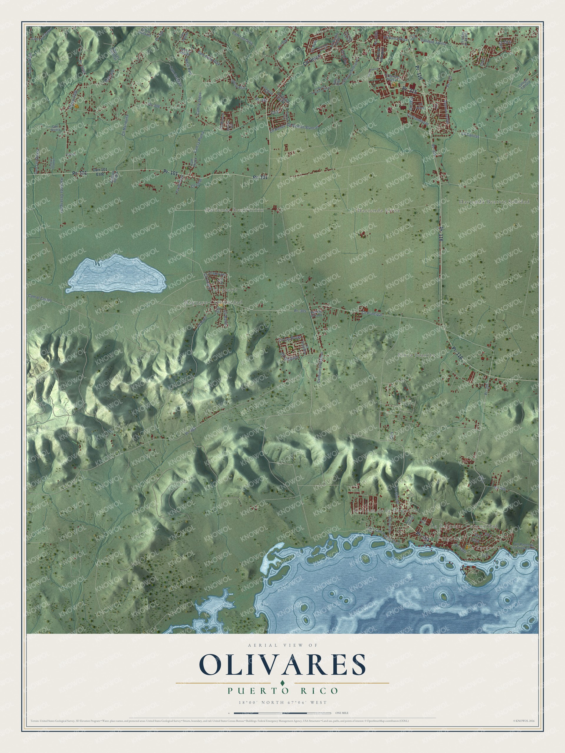 Full map of Olivares, Puerto Rico, with red buildings, printed street names and the land around them