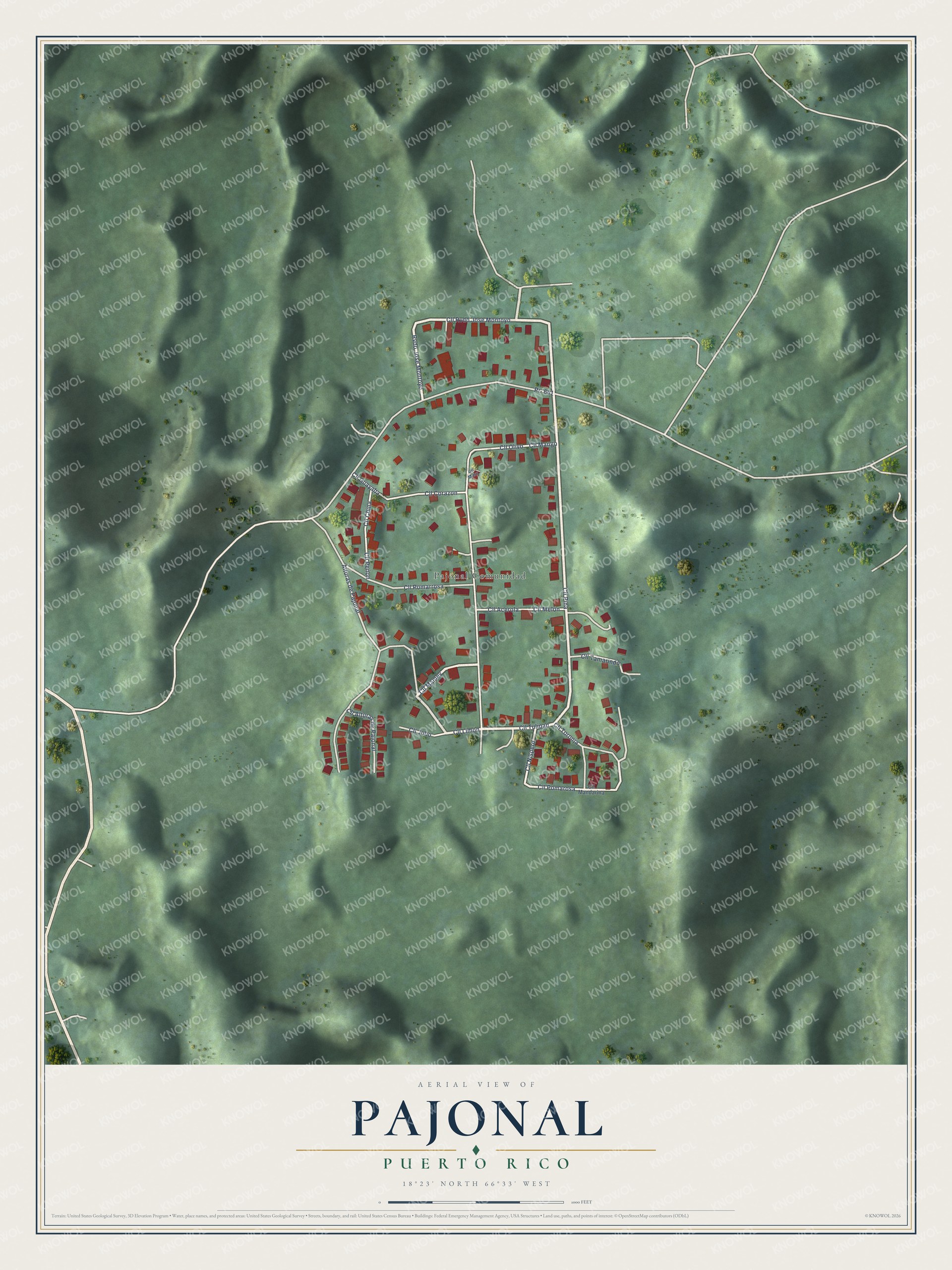 Full map of Pajonal, Puerto Rico, with red buildings, printed street names and the land around them