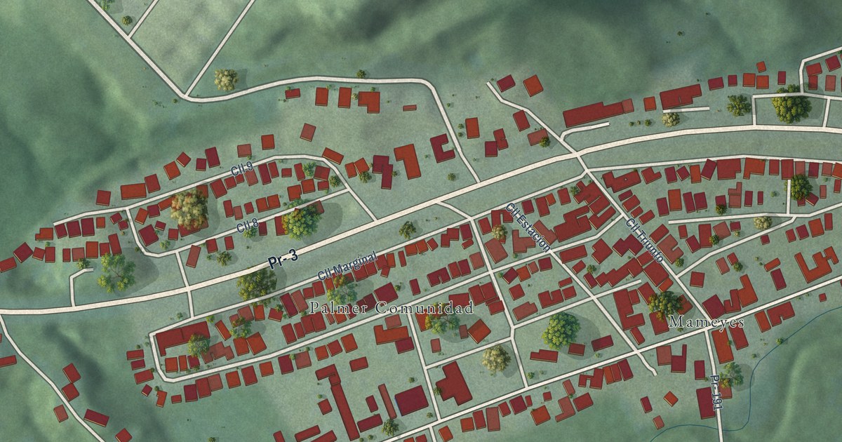 Detailed Map of Palmer, Puerto Rico