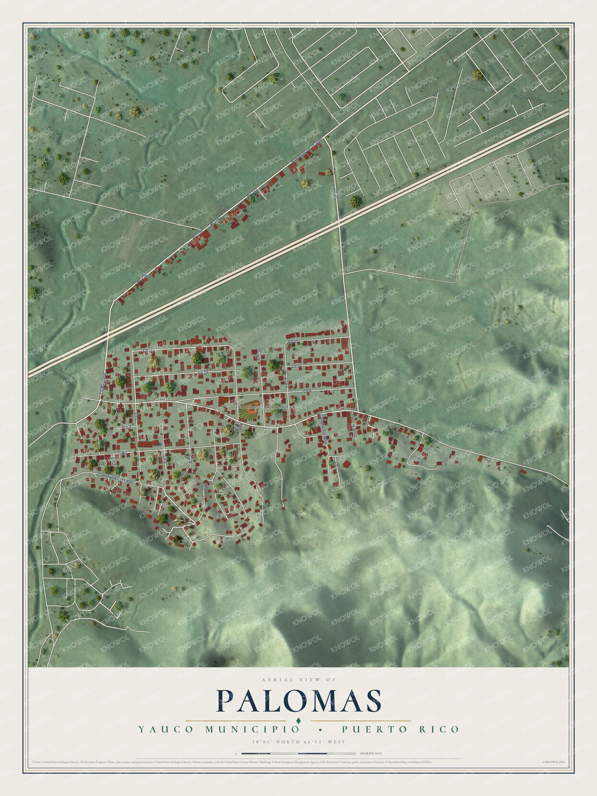 Full map of Palomas, Puerto Rico, with red buildings, printed street names and the land around them