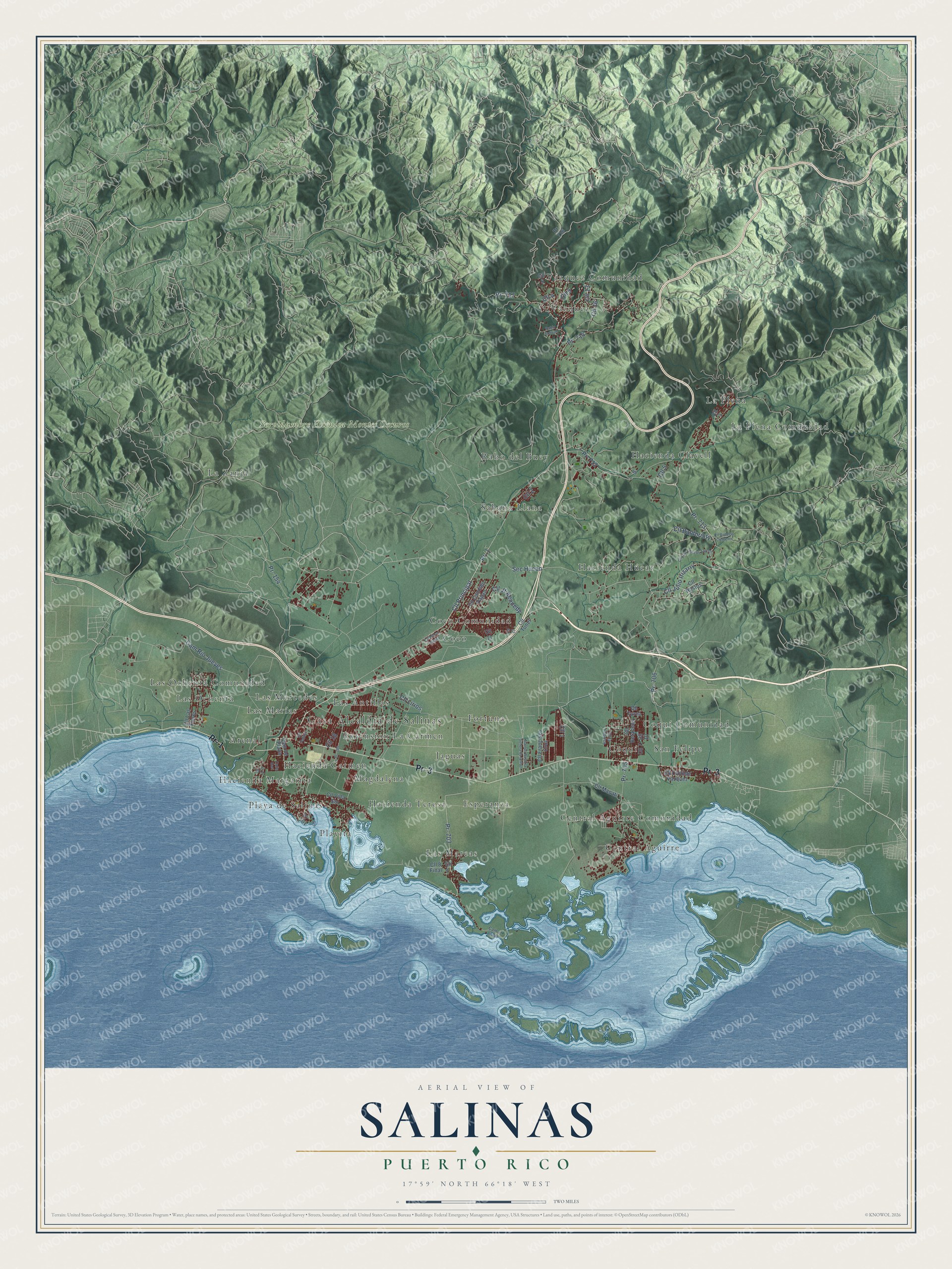 Watermarked full-map preview of Salinas, Puerto Rico