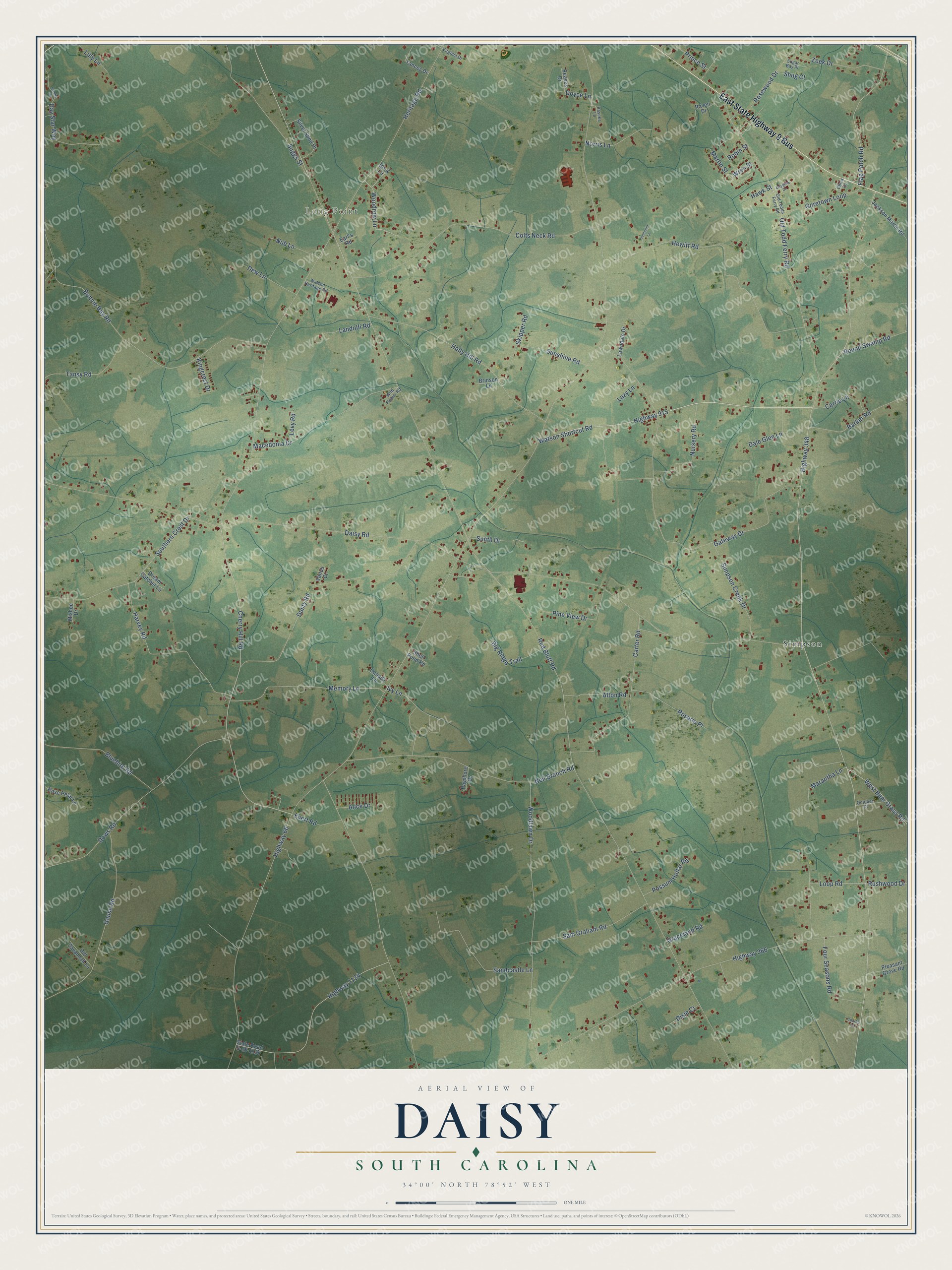 Full map of Daisy, South Carolina, with red buildings, printed street names and the land around them