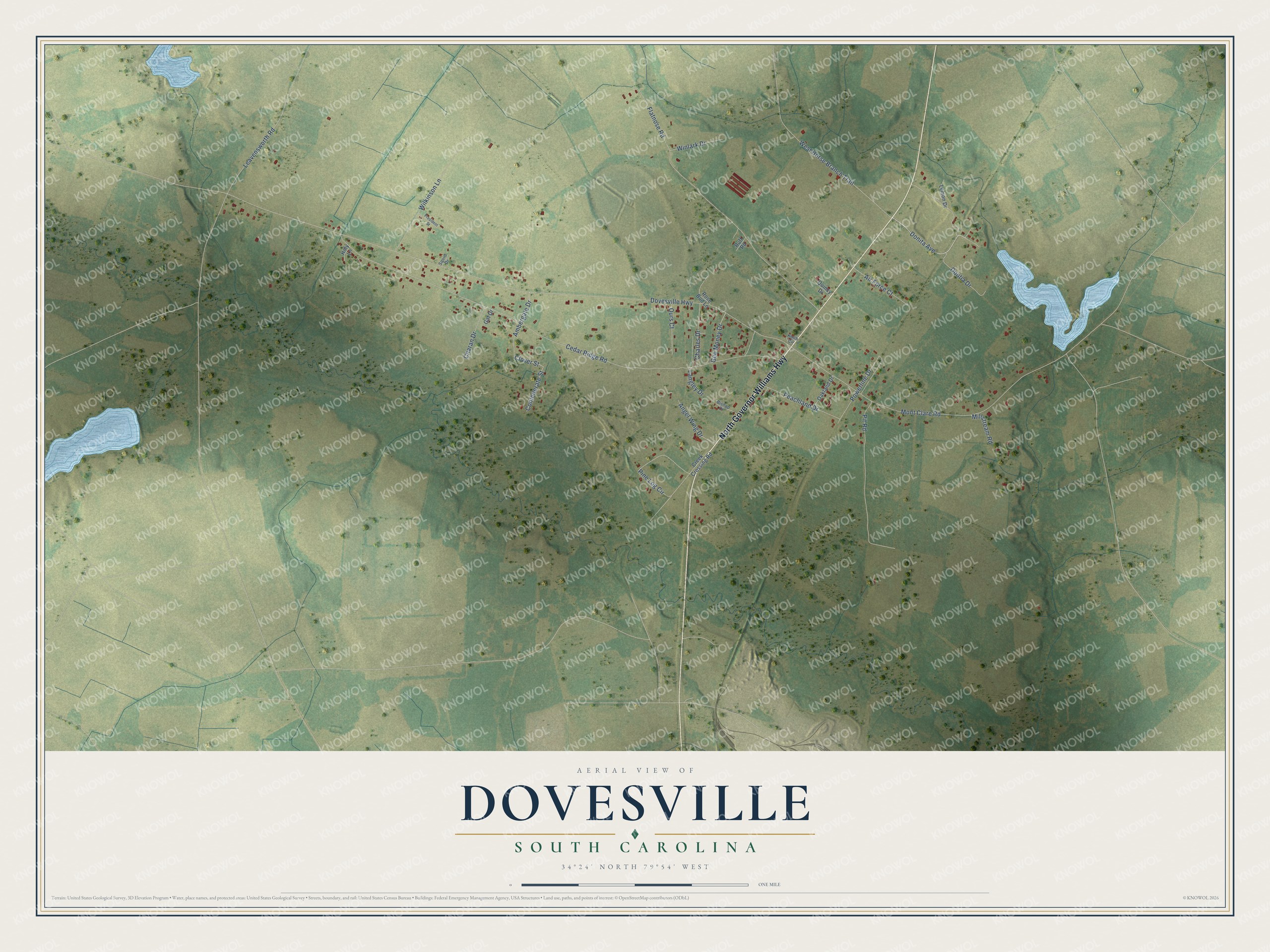 Full map of Dovesville, South Carolina, with red buildings, printed street names and the land around them