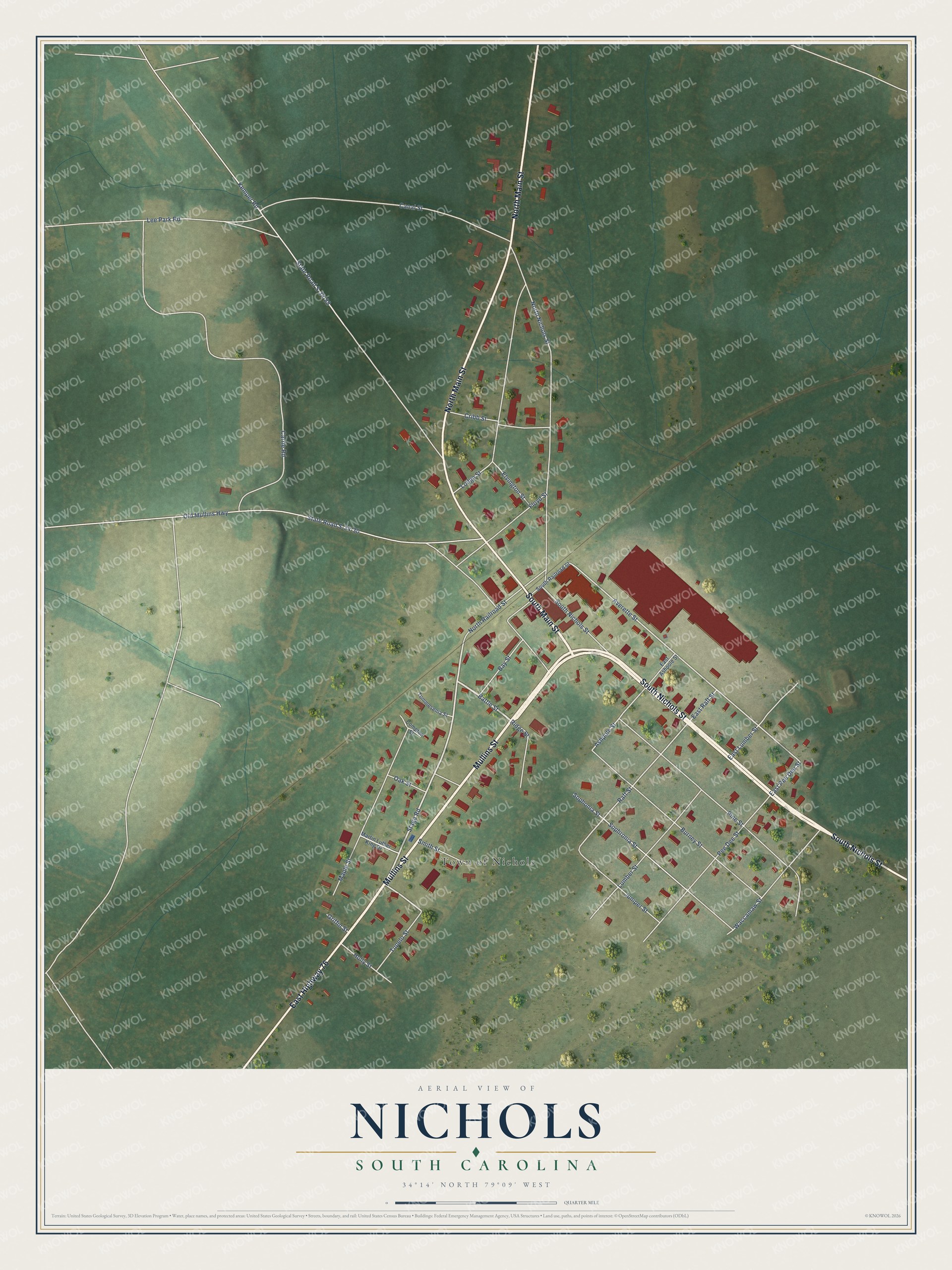 Full map of Nichols, South Carolina, with red buildings, printed street names and the land around them