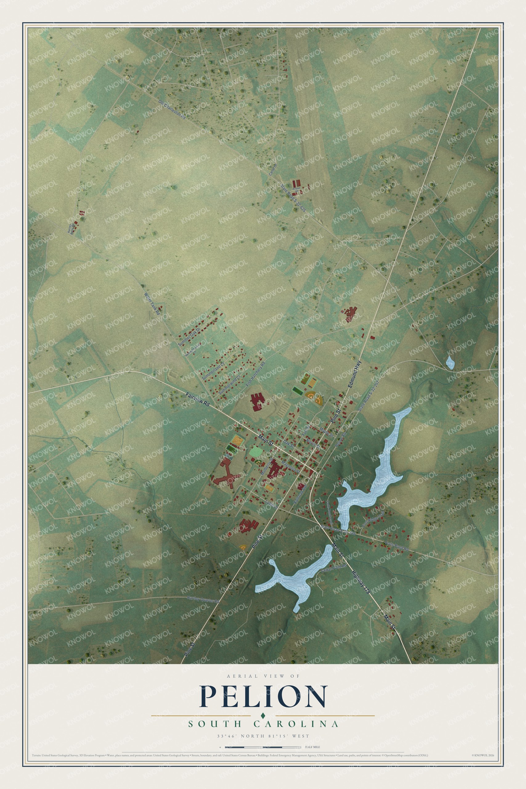 Full map of Pelion, South Carolina, with red buildings, printed street names and the land around them