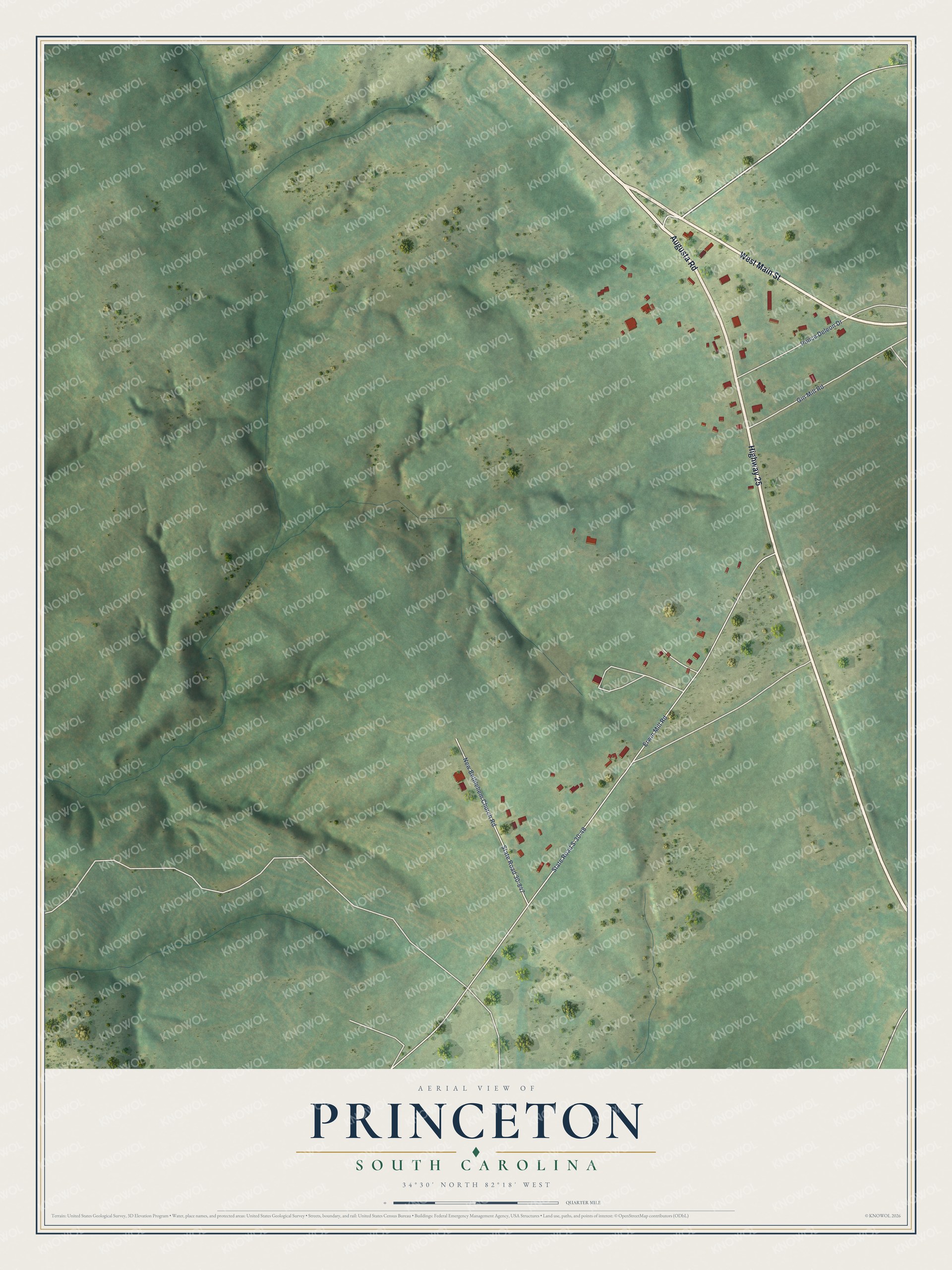 Full map of Princeton, South Carolina, with red buildings, printed street names and the land around them