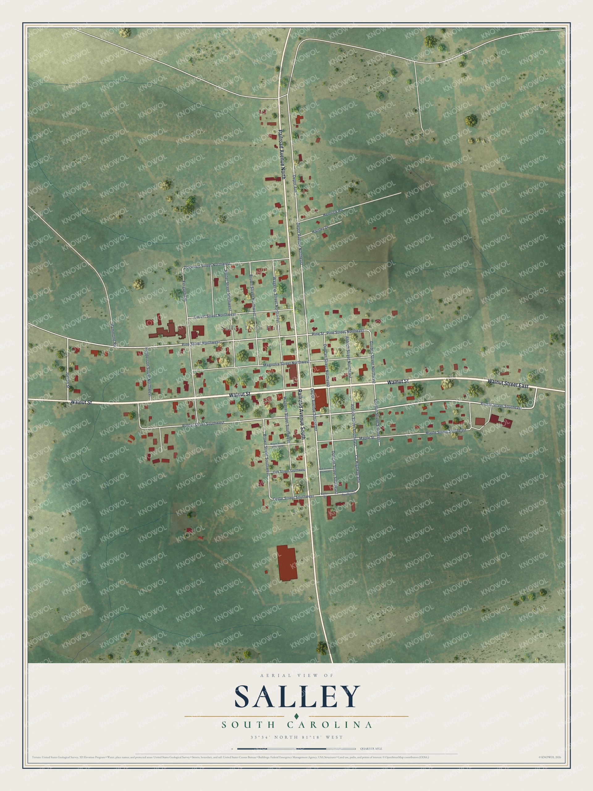 Full map of Salley, South Carolina, with red buildings, printed street names and the land around them
