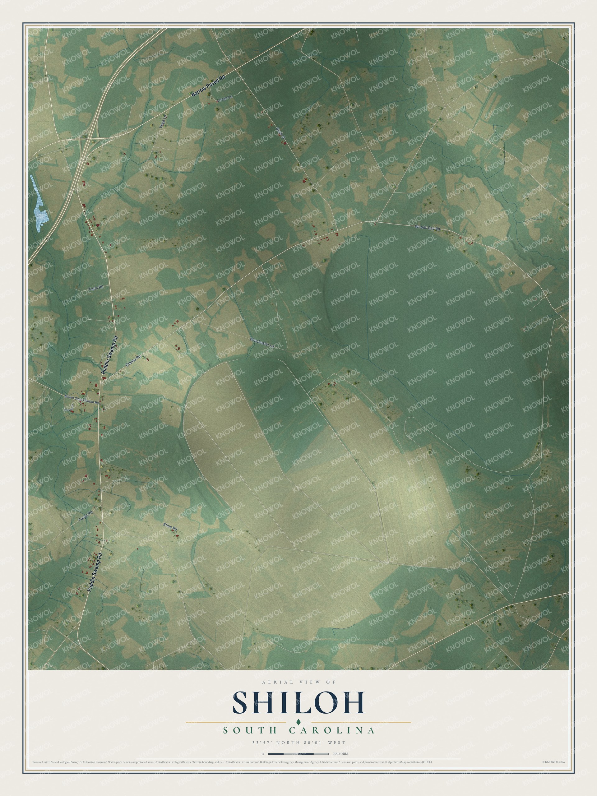Full map of Shiloh, South Carolina, with red buildings, printed street names and the land around them