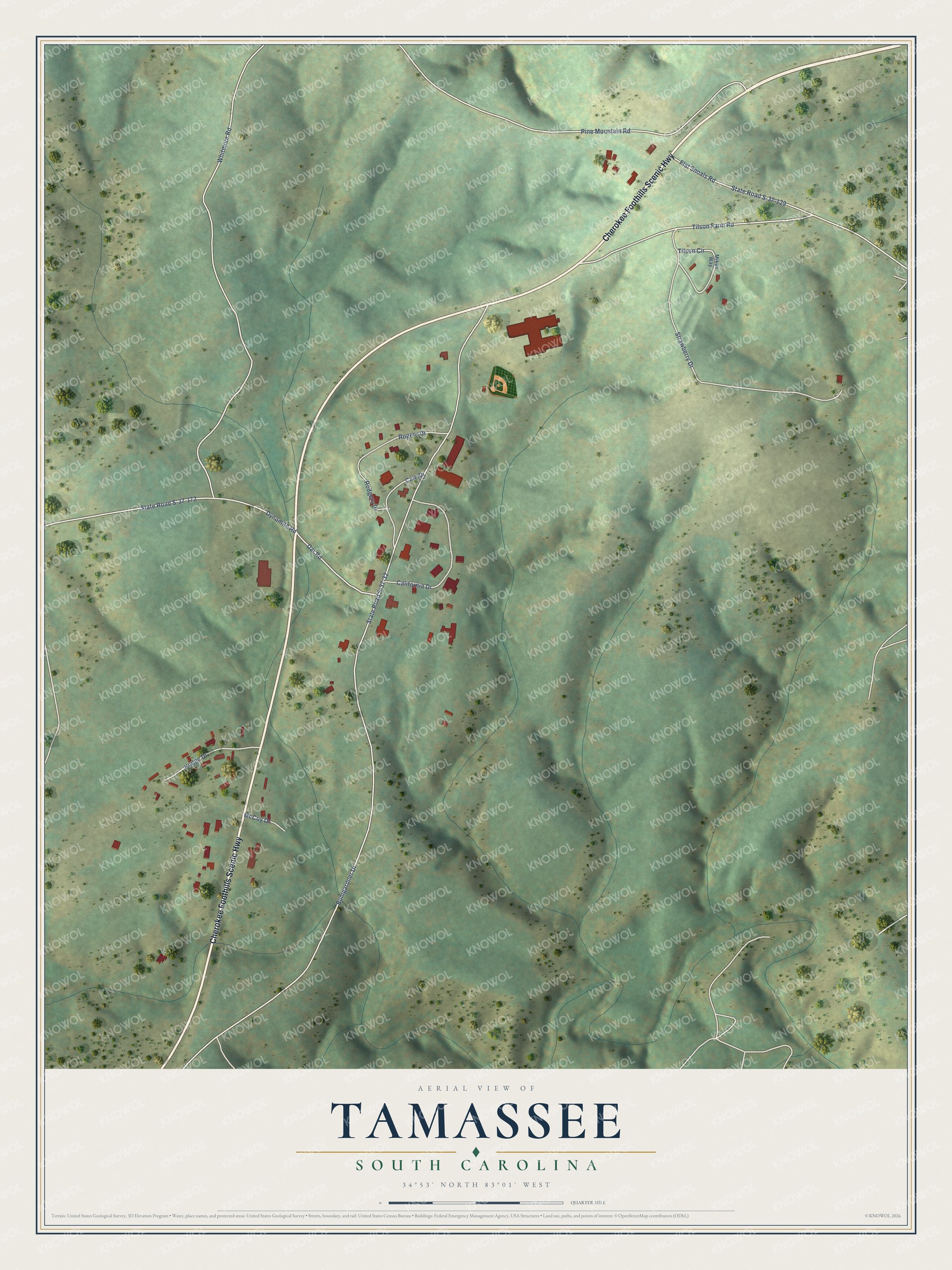 Full map of Tamassee, South Carolina, with red buildings, printed street names and the land around them