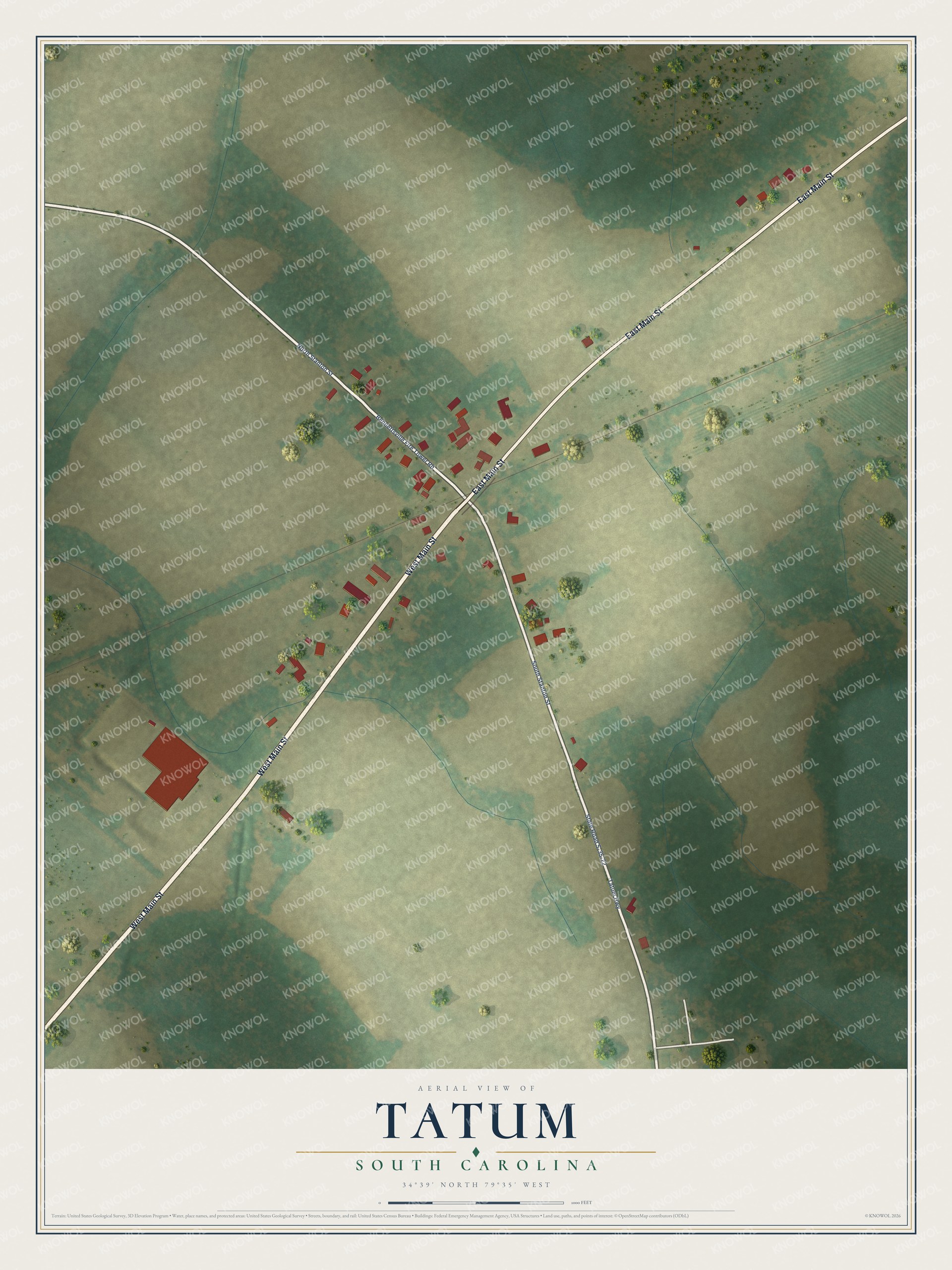 Full map of Tatum, South Carolina, with red buildings, printed street names and the land around them