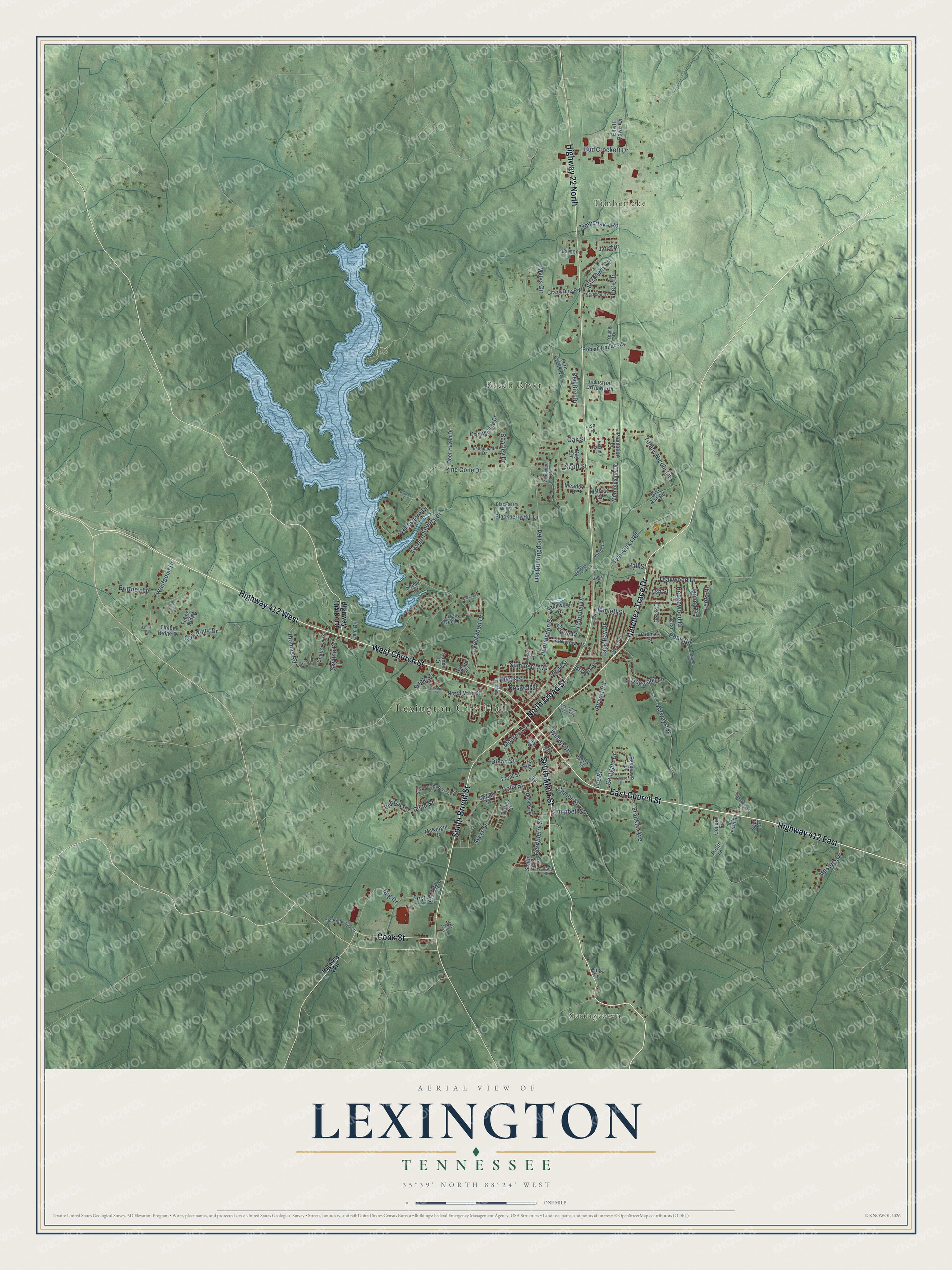 Watermarked full-map preview of Lexington, Tennessee