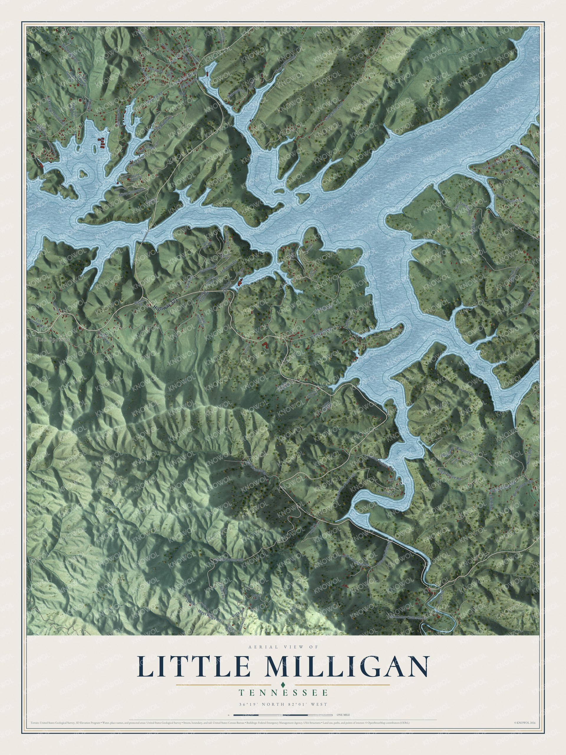 Full map of Little Milligan, Tennessee, with red buildings, printed street names and the land around them