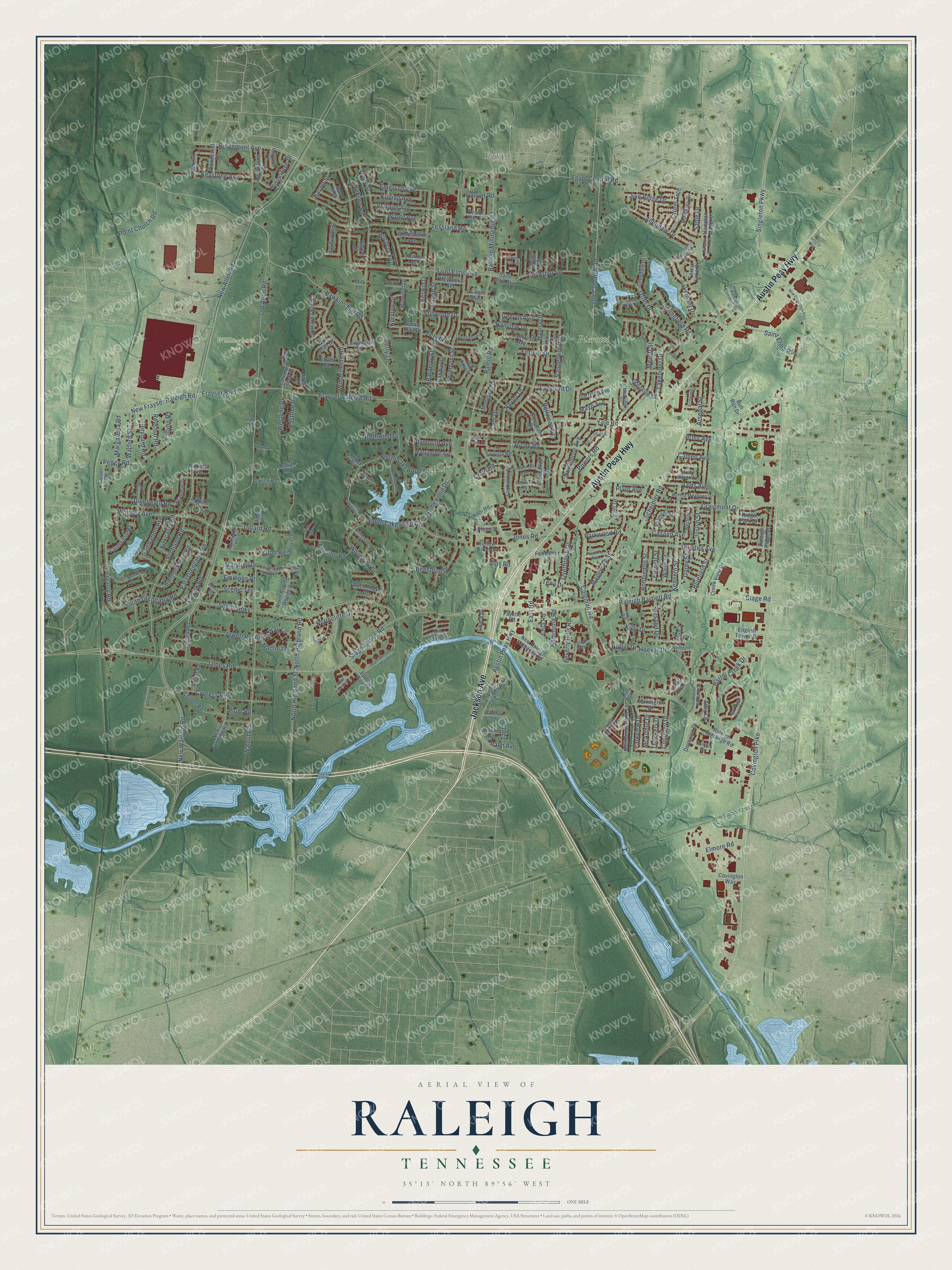 Watermarked full-map preview of Raleigh, Tennessee