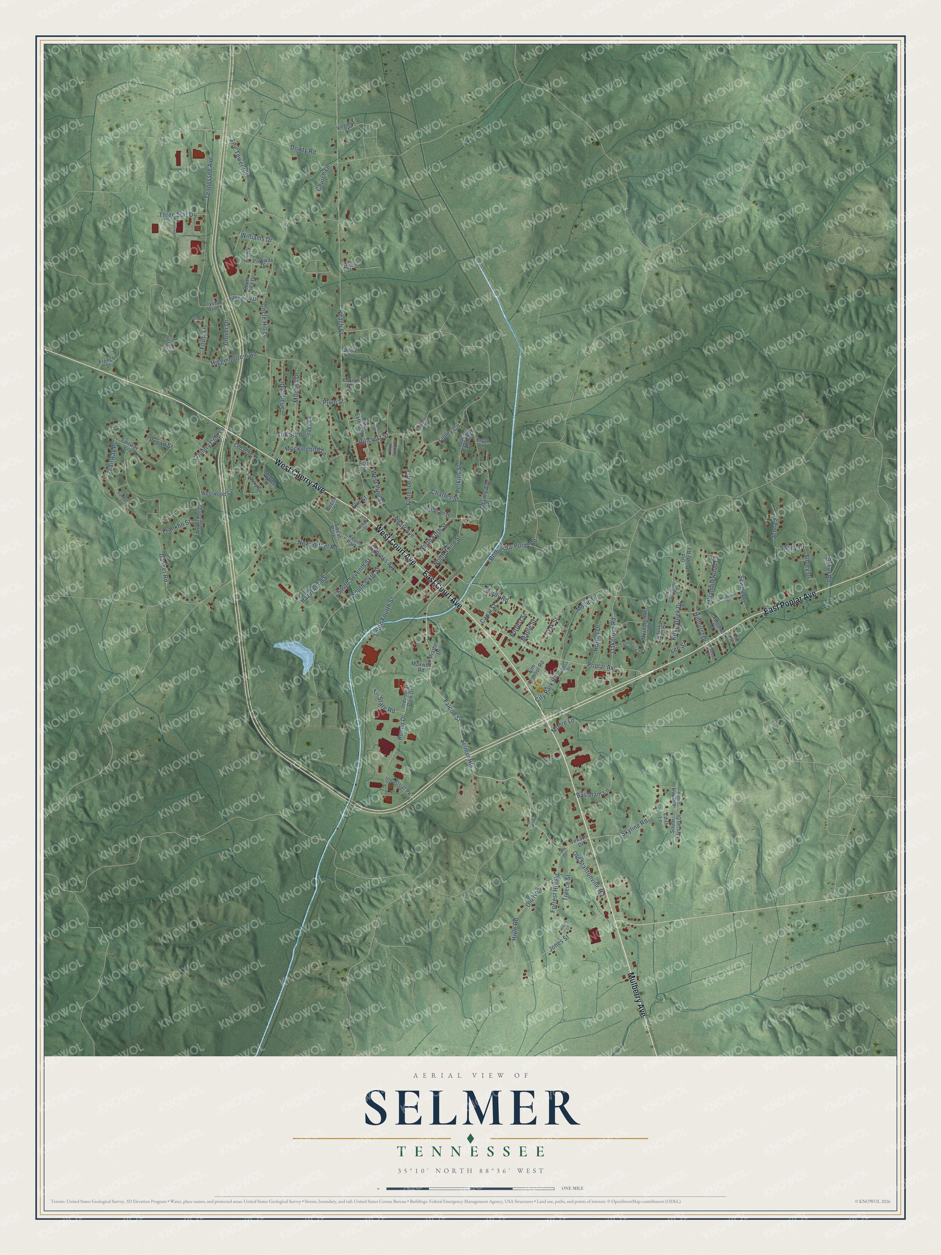 Full map of Selmer, Tennessee, with red buildings, printed street names and the land around them
