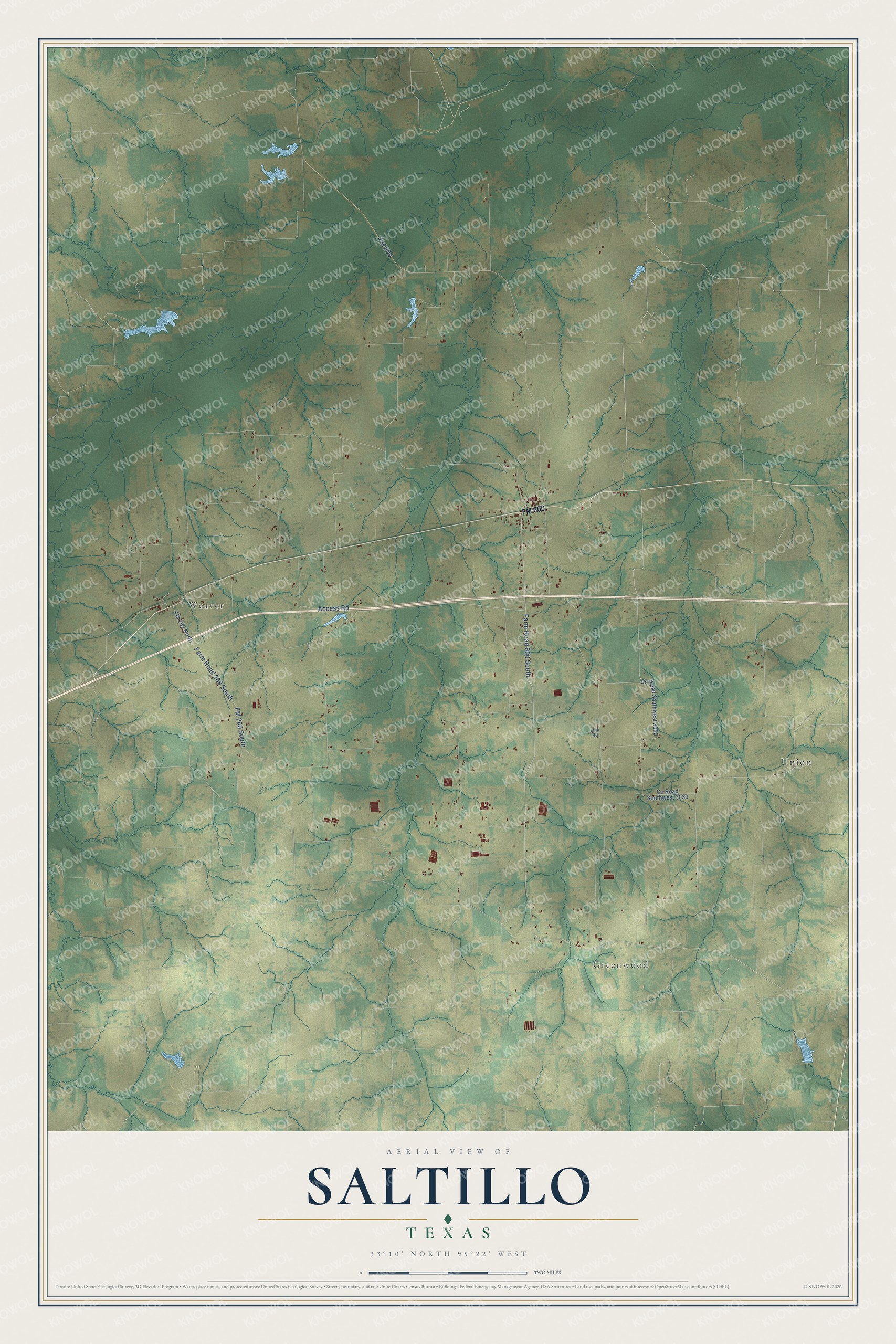 Full map of Saltillo, Texas, with red buildings, printed street names and the land around them