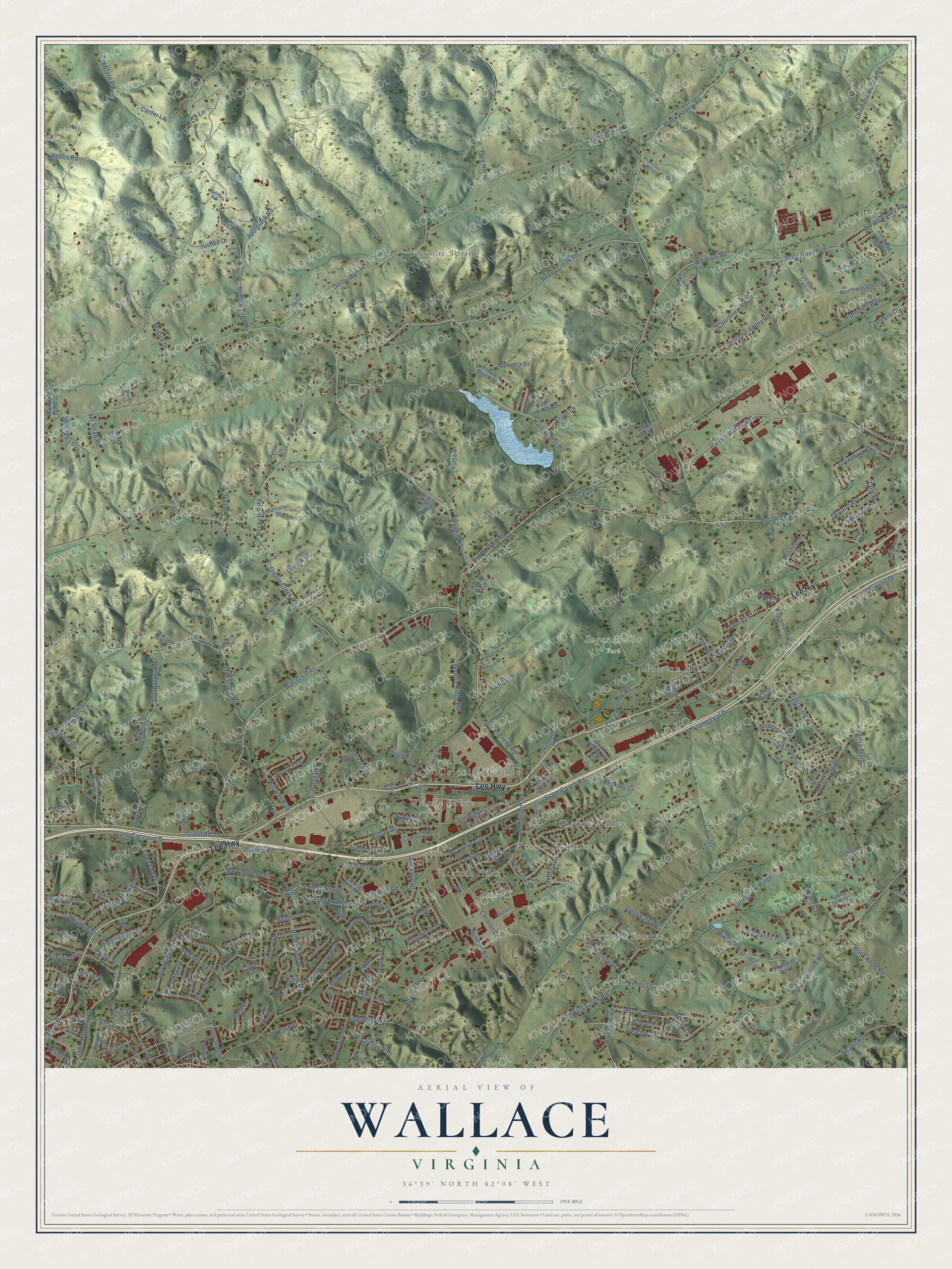 Full map of Wallace, Virginia, with red buildings, printed street names and the land around them