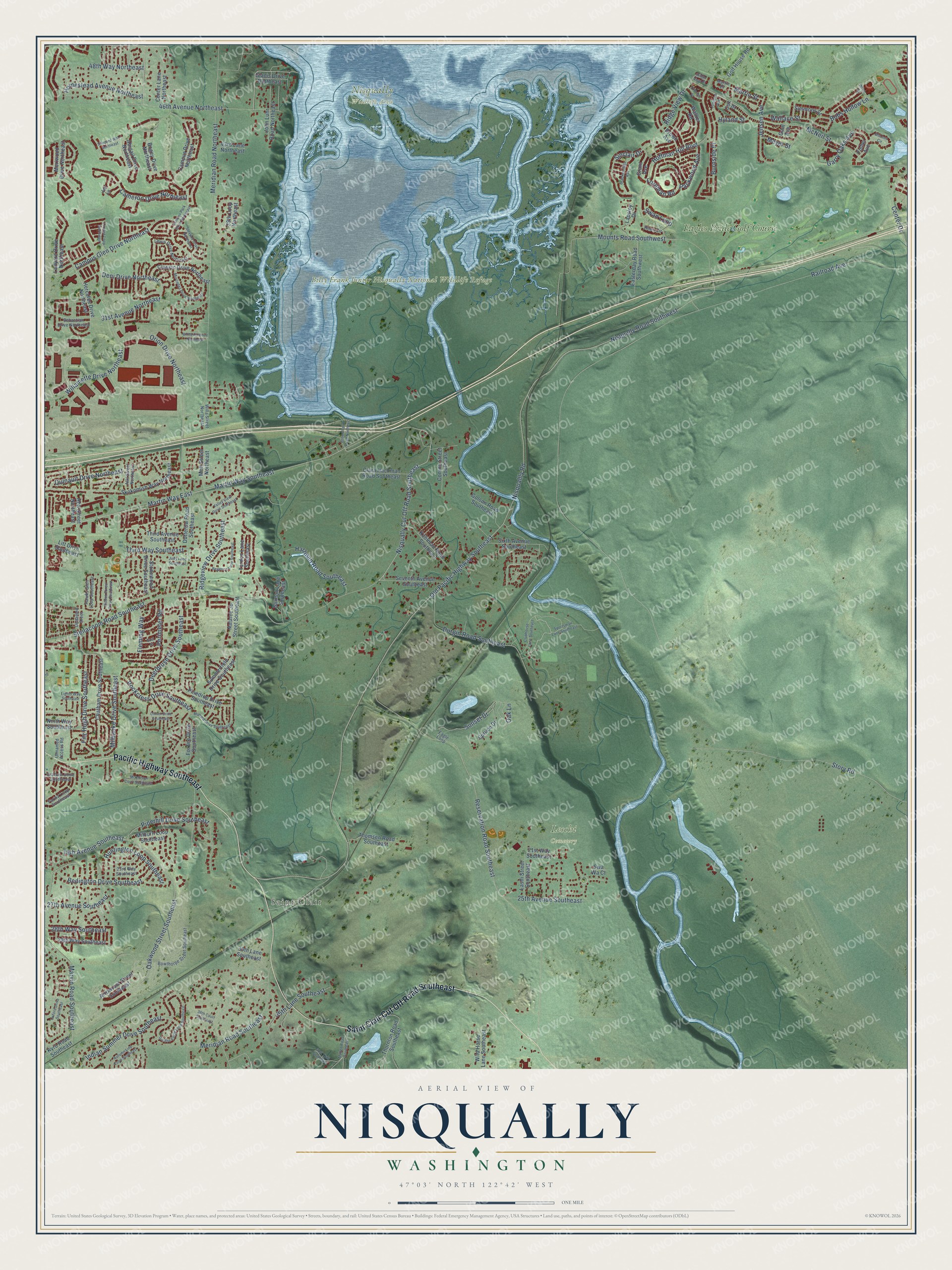 Full map of Nisqually, Washington, with red buildings, printed street names and the land around them