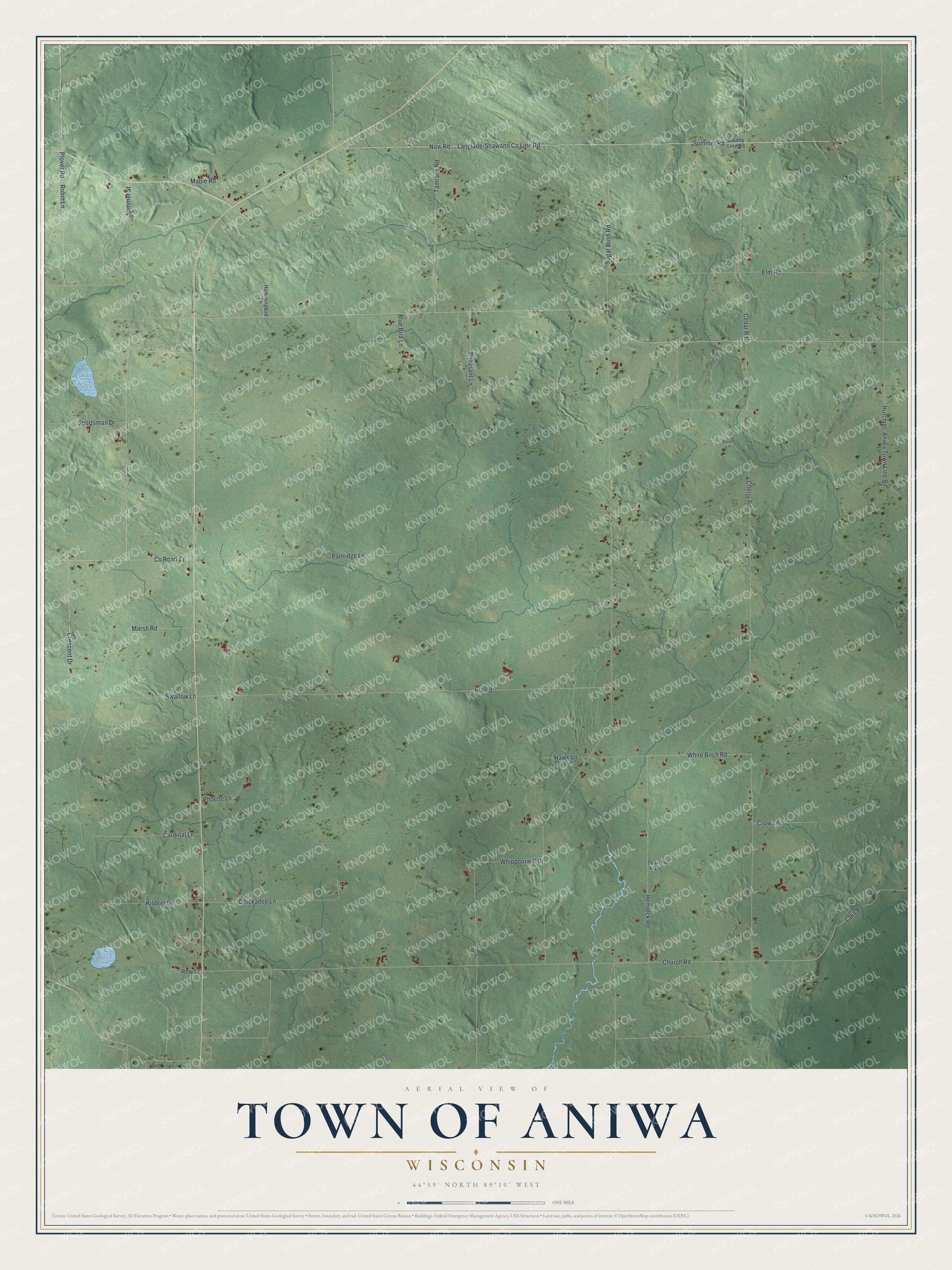 Full map of Aniwa, Wisconsin, with red buildings, printed street names and the land around them