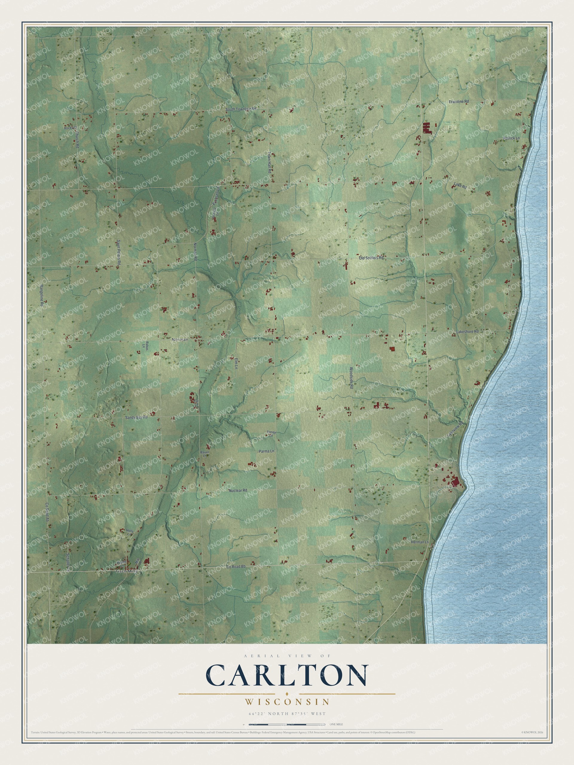 Full map of Carlton, Wisconsin, with red buildings, printed street names and the land around them