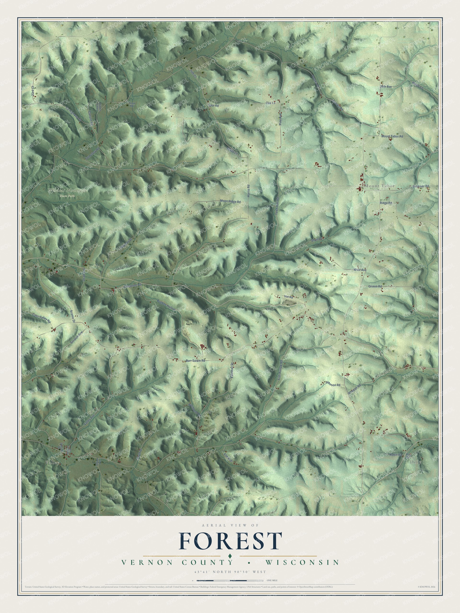 Full map of Forest, Wisconsin, with red buildings, printed street names and the land around them