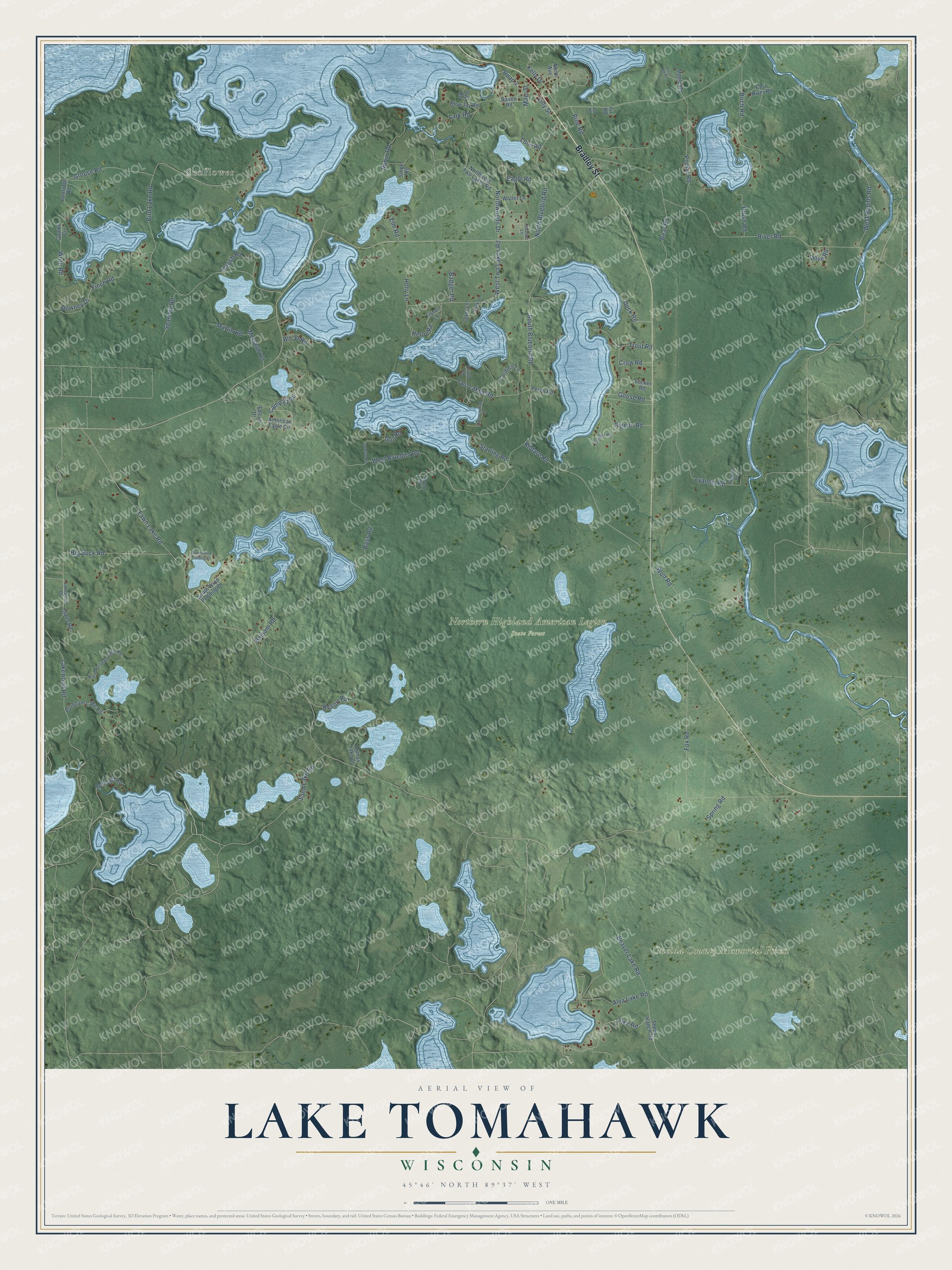 Full map of Lake Tomahawk, Wisconsin, with red buildings, printed street names and the land around them