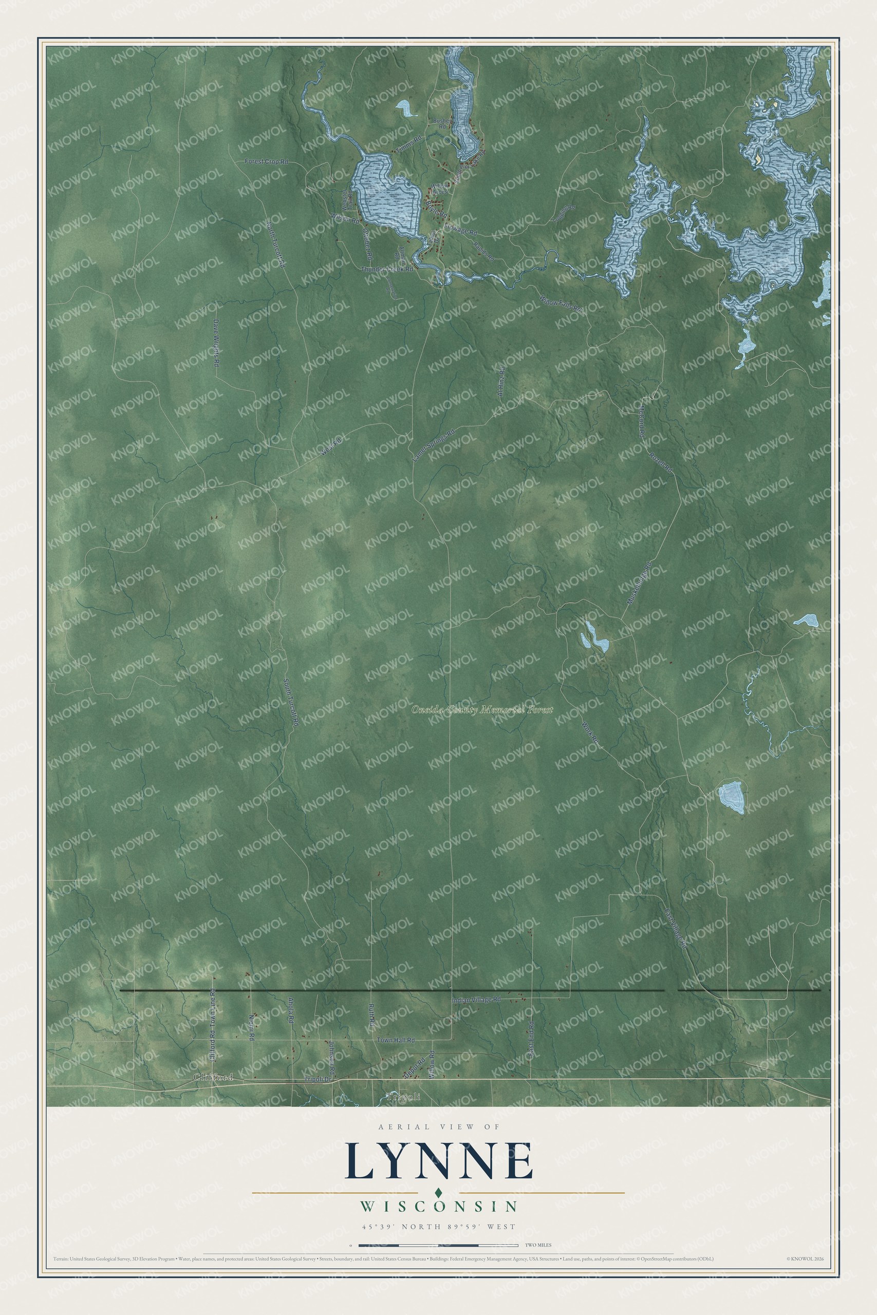 Full map of Lynne, Wisconsin, with red buildings, printed street names and the land around them