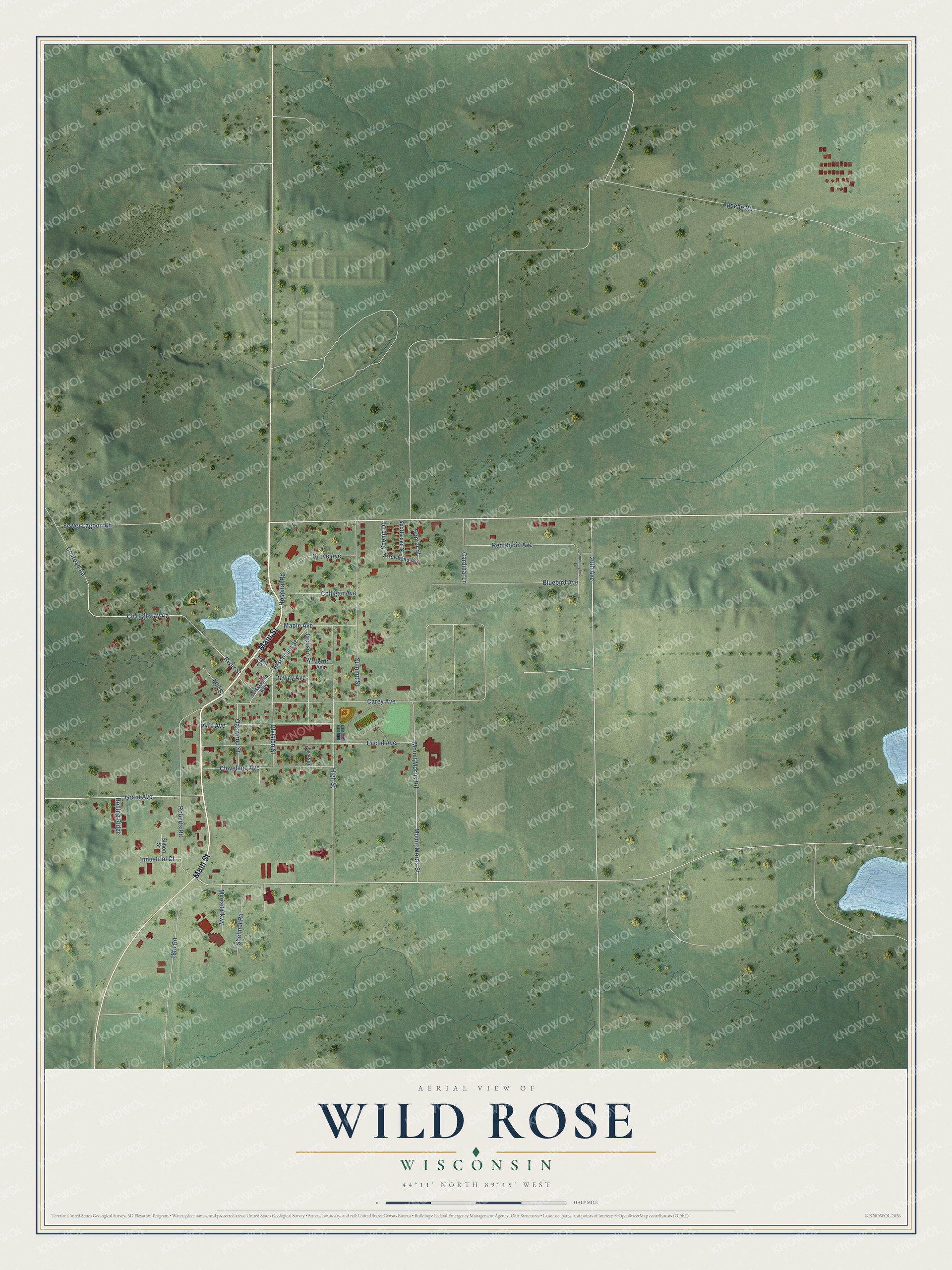 Full map of Wild Rose, Wisconsin, with red buildings, printed street names and the land around them