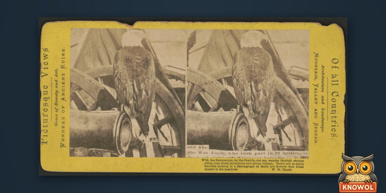 In 1861, Soldiers From Eau Claire, Wisconsin, Bought an Eagle for $2.50 and Took Him to War