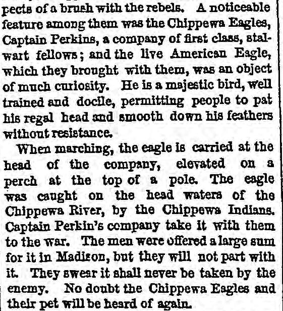 1861 Chicago Tribune text: the live American eagle, a majestic bird, lets people pat his regal head; no doubt the Chippewa Eagles and their pet will be heard of again
