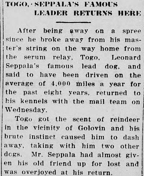 1925 Nome Nugget item headlined Togo, Seppala's Famous Leader Returns Here